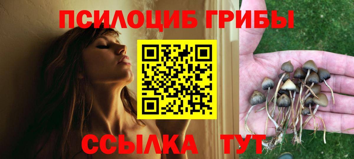 Михайловск  Галлюциногенные грибы Cubensis  Вход с VPN  Псилоцибиновые грибы Magic Shrooms 